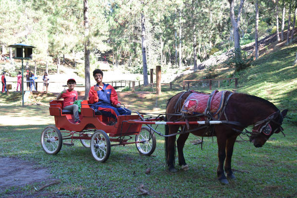 Buy your photos of the eventNR1 - English & Action 09 a 11/07/17 on Fotop