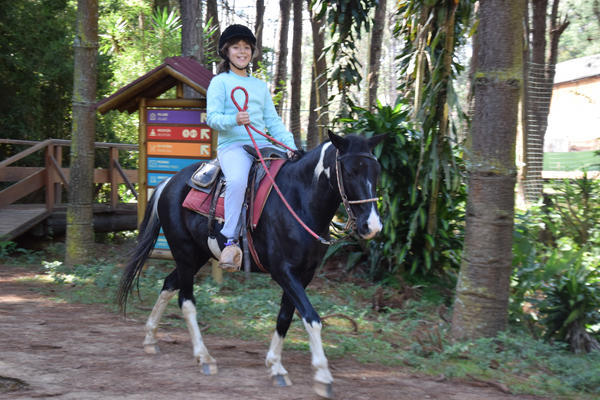 Buy your photos of the eventNR1 - Clssico de 11 a 14/06/17 on Fotop