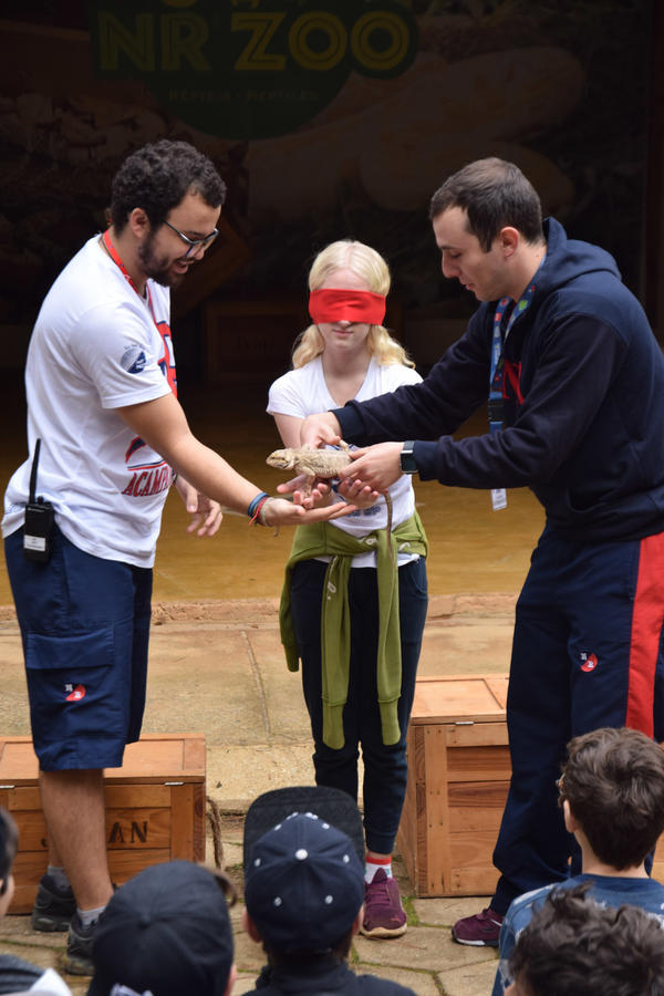 Buy your photos of the eventNR1 - Cl�ssico de 11 a 14/06/17 on Fotop