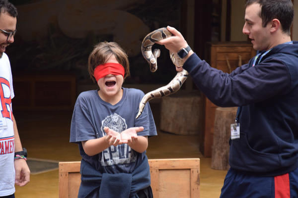 Buy your photos of the eventNR1 - Cl�ssico de 11 a 14/06/17 on Fotop