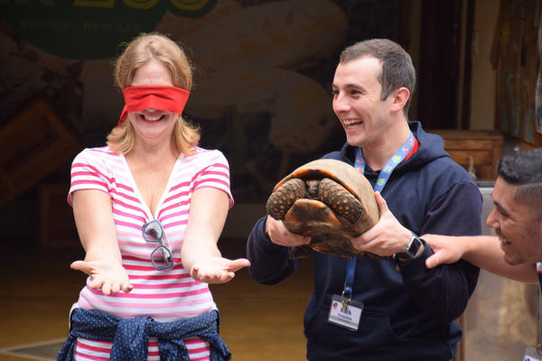 Buy your photos of the eventNR1 - Cl�ssico de 11 a 14/06/17 on Fotop