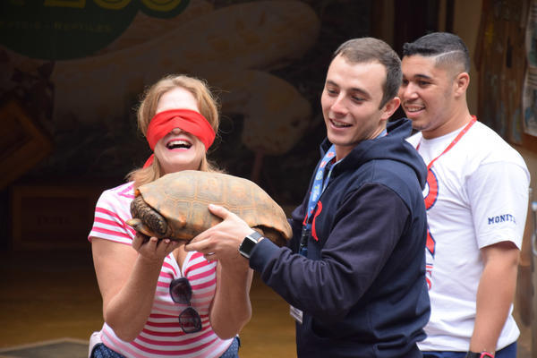 Buy your photos of the eventNR1 - Cl�ssico de 11 a 14/06/17 on Fotop