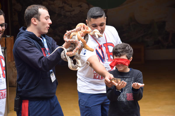 Buy your photos of the eventNR1 - Cl�ssico de 11 a 14/06/17 on Fotop