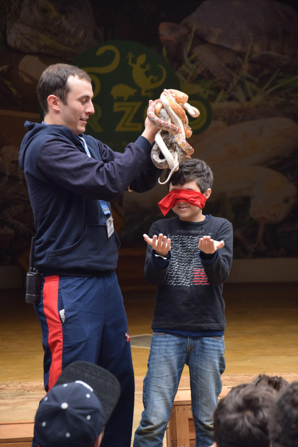 Buy your photos of the eventNR1 - Cl�ssico de 11 a 14/06/17 on Fotop