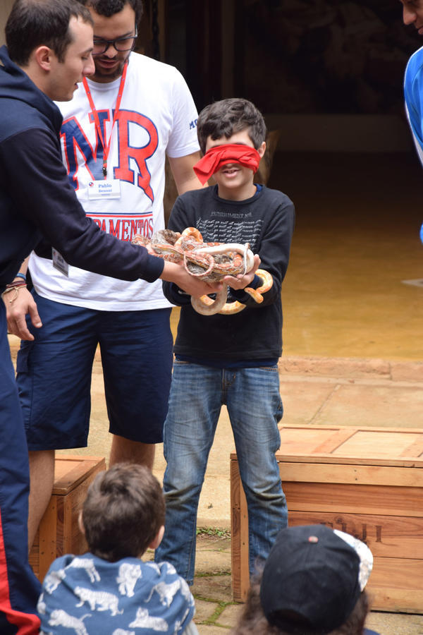 Buy your photos of the eventNR1 - Cl�ssico de 11 a 14/06/17 on Fotop