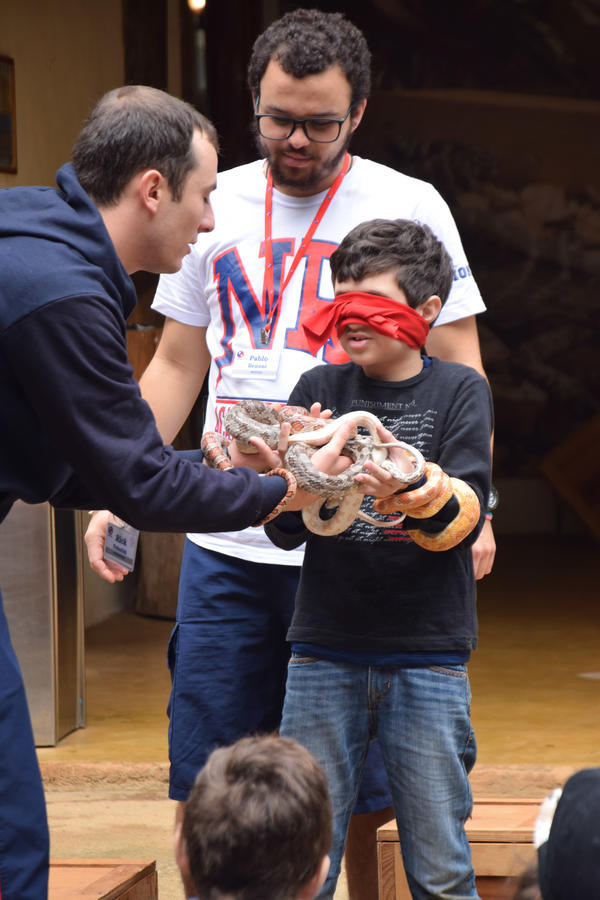 Buy your photos of the eventNR1 - Cl�ssico de 11 a 14/06/17 on Fotop