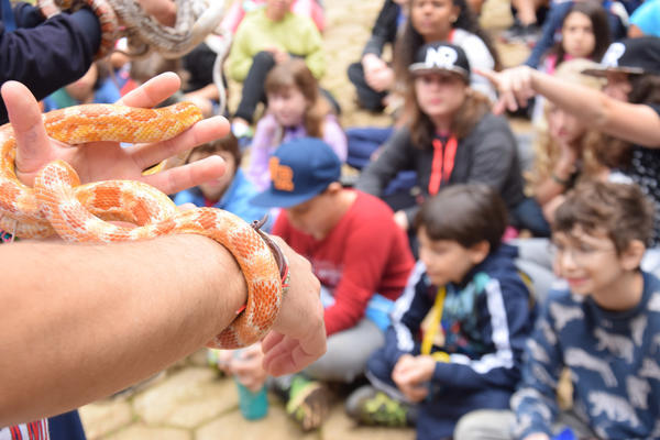 Buy your photos of the eventNR1 - Cl�ssico de 11 a 14/06/17 on Fotop