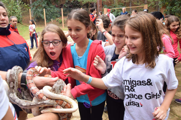 Buy your photos of the eventNR1 - Cl�ssico de 11 a 14/06/17 on Fotop