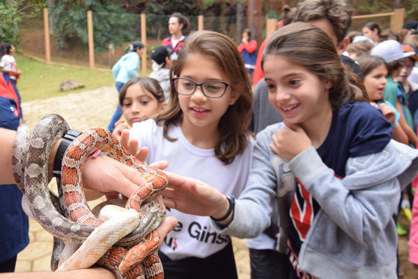 Buy your photos of the eventNR1 - Cl�ssico de 11 a 14/06/17 on Fotop