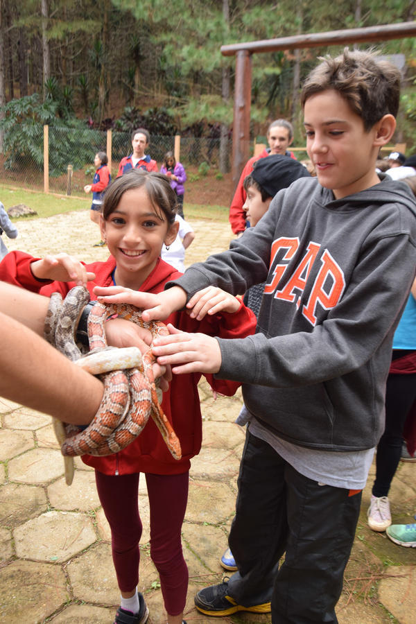 Buy your photos of the eventNR1 - Cl�ssico de 11 a 14/06/17 on Fotop