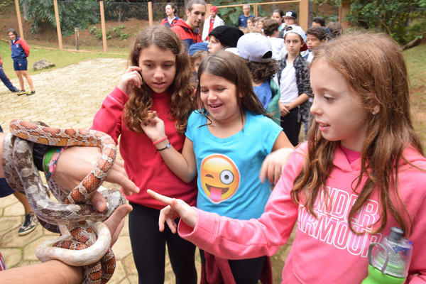 Buy your photos of the eventNR1 - Cl�ssico de 11 a 14/06/17 on Fotop