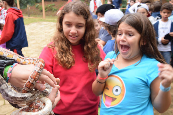 Buy your photos of the eventNR1 - Cl�ssico de 11 a 14/06/17 on Fotop