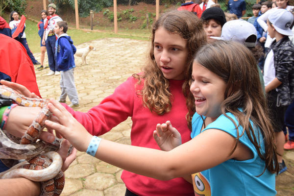 Buy your photos of the eventNR1 - Cl�ssico de 11 a 14/06/17 on Fotop