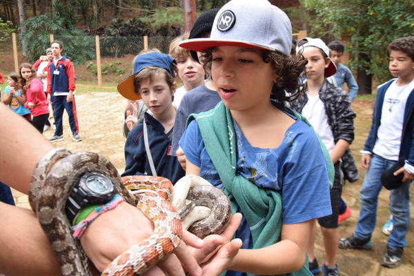 Buy your photos of the eventNR1 - Cl�ssico de 11 a 14/06/17 on Fotop