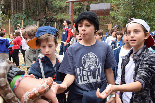 Buy your photos of the eventNR1 - Cl�ssico de 11 a 14/06/17 on Fotop