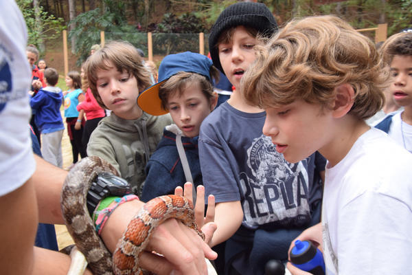 Buy your photos of the eventNR1 - Cl�ssico de 11 a 14/06/17 on Fotop