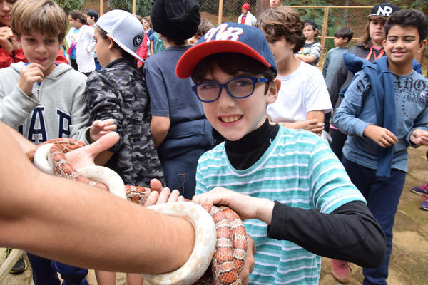 Buy your photos of the eventNR1 - Cl�ssico de 11 a 14/06/17 on Fotop