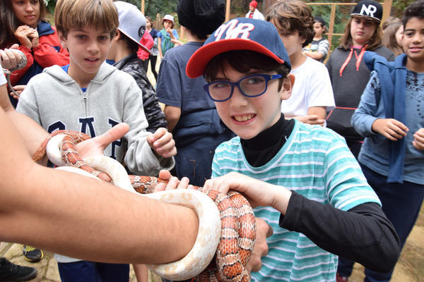 Buy your photos of the eventNR1 - Cl�ssico de 11 a 14/06/17 on Fotop