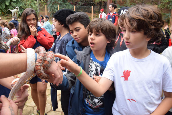 Buy your photos of the eventNR1 - Cl�ssico de 11 a 14/06/17 on Fotop