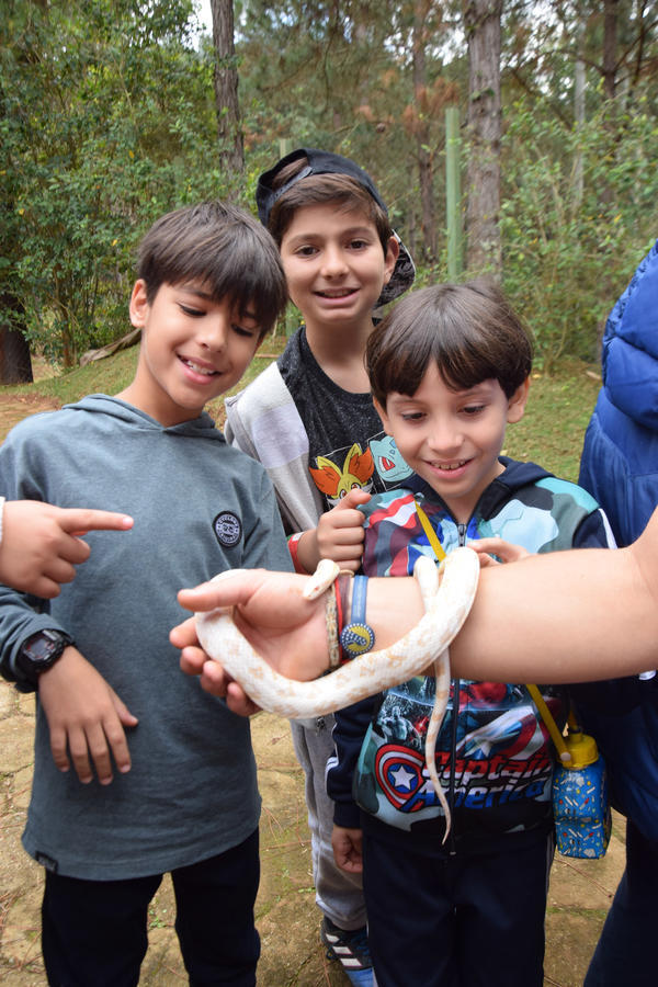 Buy your photos of the eventNR1 - Cl�ssico de 11 a 14/06/17 on Fotop