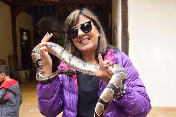 Buy your photos of the eventNR1 - Cl�ssico de 11 a 14/06/17 on Fotop