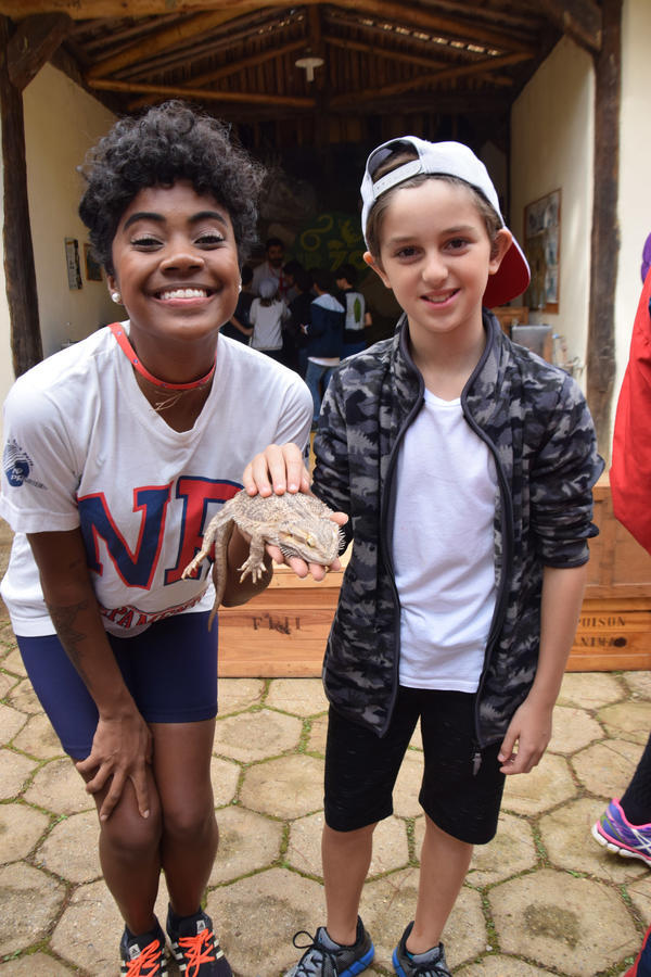 Buy your photos of the eventNR1 - Cl�ssico de 11 a 14/06/17 on Fotop