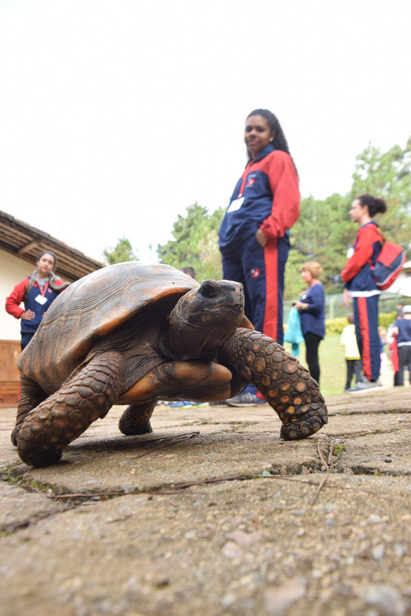 Buy your photos of the eventNR1 - Cl�ssico de 11 a 14/06/17 on Fotop