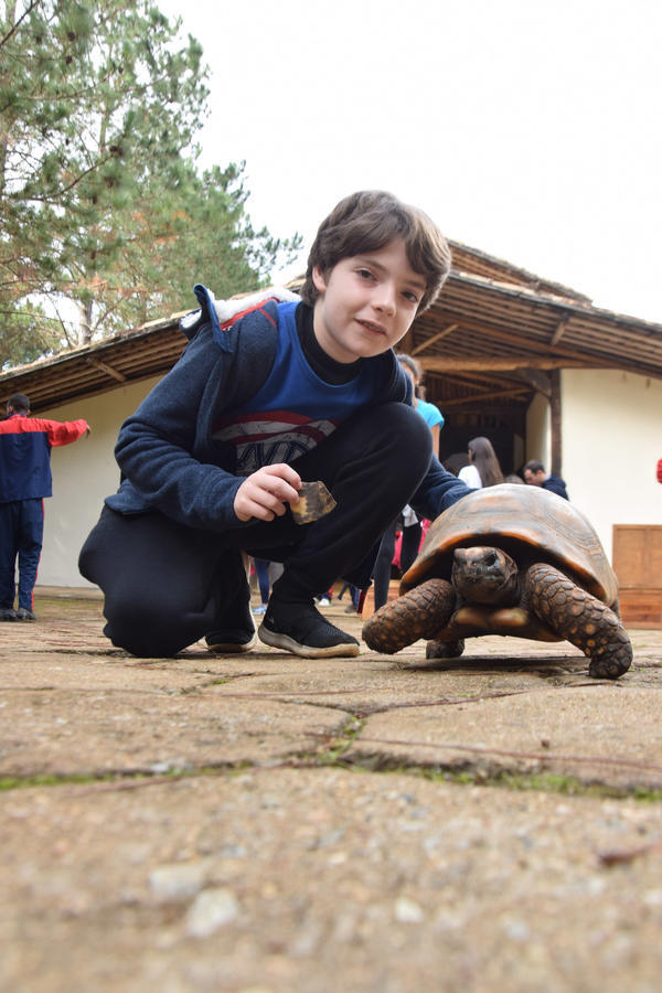 Buy your photos of the eventNR1 - Cl�ssico de 11 a 14/06/17 on Fotop