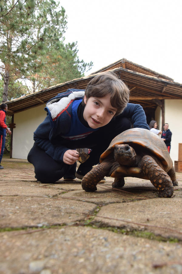 Buy your photos of the eventNR1 - Cl�ssico de 11 a 14/06/17 on Fotop