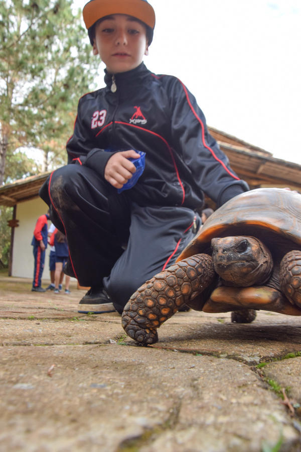 Buy your photos of the eventNR1 - Cl�ssico de 11 a 14/06/17 on Fotop