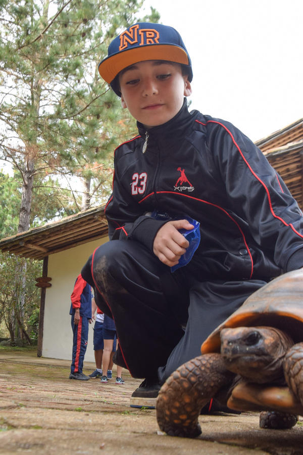 Buy your photos of the eventNR1 - Cl�ssico de 11 a 14/06/17 on Fotop