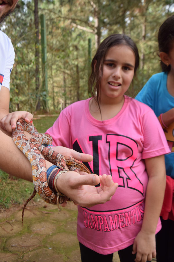 Buy your photos of the eventNR1 - Cl�ssico de 11 a 14/06/17 on Fotop