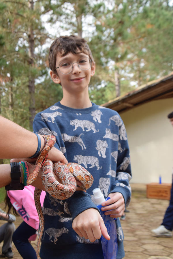 Buy your photos of the eventNR1 - Cl�ssico de 11 a 14/06/17 on Fotop