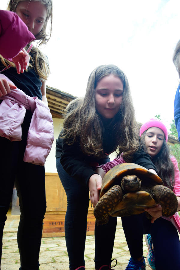 Buy your photos of the eventNR1 - Cl�ssico de 11 a 14/06/17 on Fotop