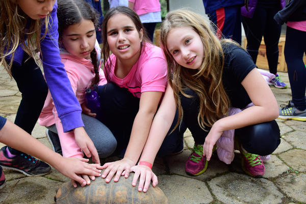 Buy your photos of the eventNR1 - Cl�ssico de 11 a 14/06/17 on Fotop