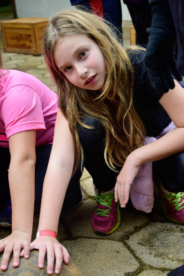 Buy your photos of the eventNR1 - Cl�ssico de 11 a 14/06/17 on Fotop