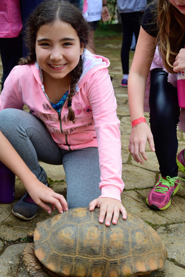 Buy your photos of the eventNR1 - Cl�ssico de 11 a 14/06/17 on Fotop