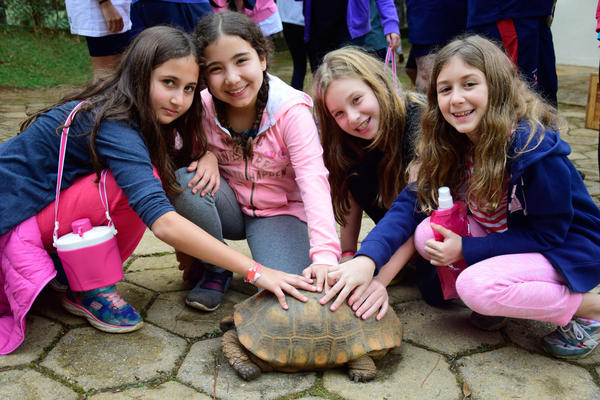 Buy your photos of the eventNR1 - Cl�ssico de 11 a 14/06/17 on Fotop