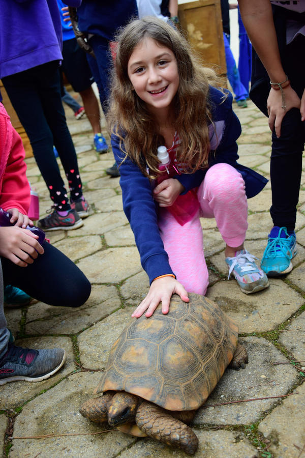 Buy your photos of the eventNR1 - Cl�ssico de 11 a 14/06/17 on Fotop