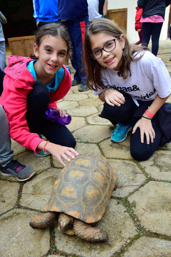 Buy your photos of the eventNR1 - Cl�ssico de 11 a 14/06/17 on Fotop