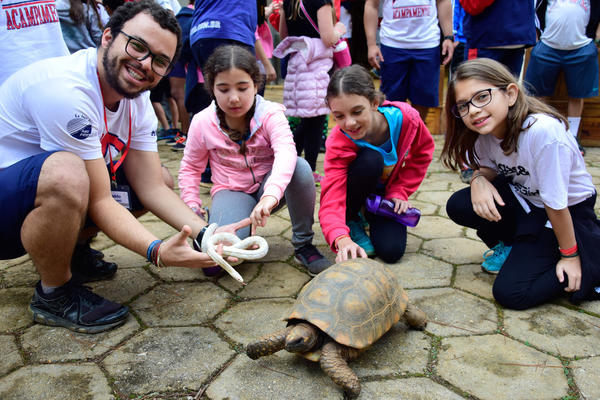 Buy your photos of the eventNR1 - Cl�ssico de 11 a 14/06/17 on Fotop