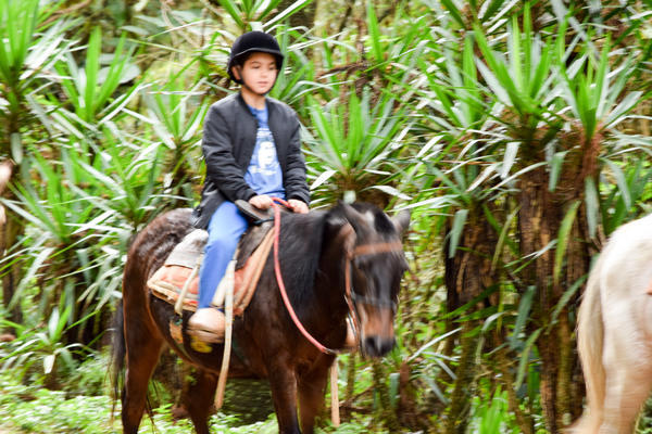 Buy your photos of the eventNR1 - Cl�ssico de 11 a 14/06/17 on Fotop