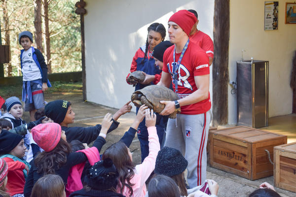 Buy your photos of the eventNR1 - Cl�ssico de 15 a 18/06/17 on Fotop