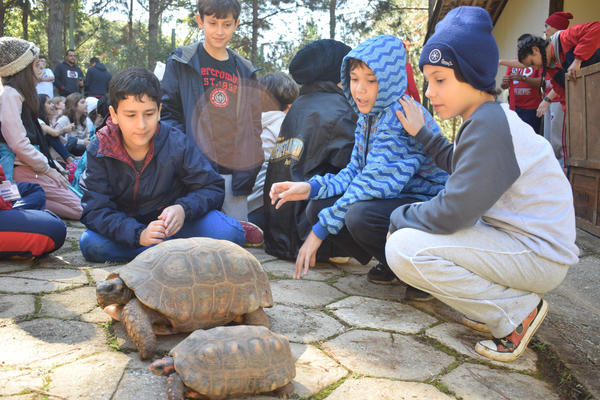 Buy your photos of the eventNR1 - Cl�ssico de 15 a 18/06/17 on Fotop