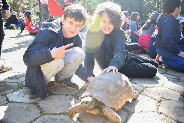 Buy your photos of the eventNR1 - Cl�ssico de 15 a 18/06/17 on Fotop