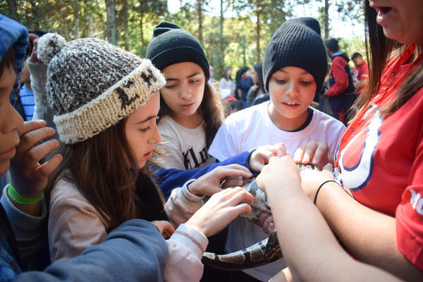 Buy your photos of the eventNR1 - Cl�ssico de 15 a 18/06/17 on Fotop