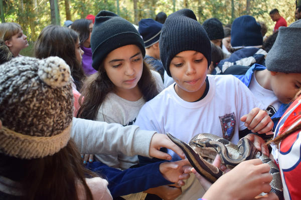 Buy your photos of the eventNR1 - Cl�ssico de 15 a 18/06/17 on Fotop