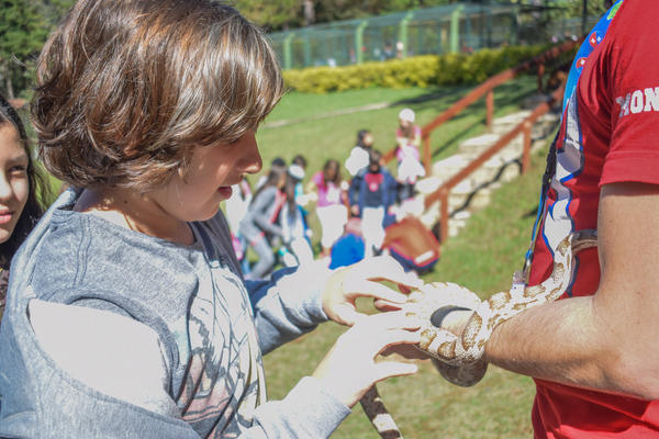 Buy your photos of the eventNR1 - Cl�ssico de 15 a 18/06/17 on Fotop