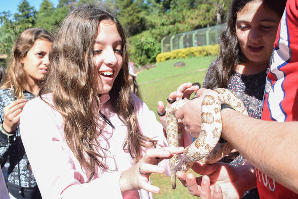 Buy your photos of the eventNR1 - Cl�ssico de 15 a 18/06/17 on Fotop