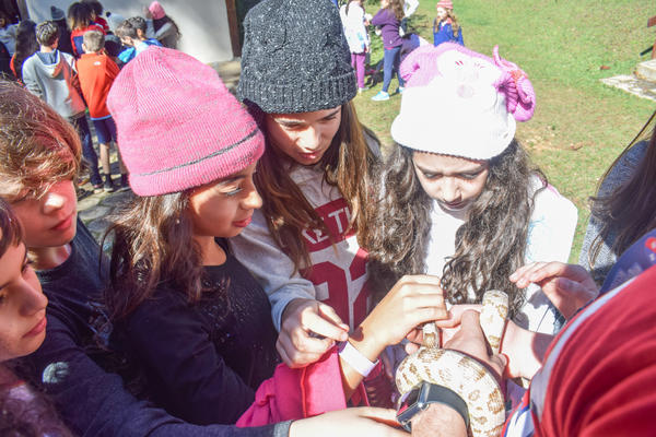 Buy your photos of the eventNR1 - Cl�ssico de 15 a 18/06/17 on Fotop